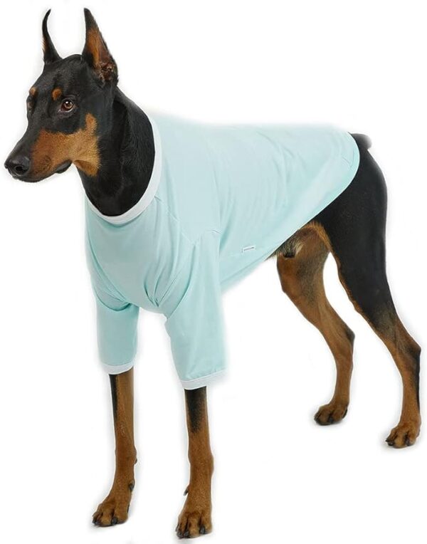 💬 Get your furry friend a stylish and comfy Ringer Dog Shirt! 🐶👕 Made with soft and breathable cotton, available in 2 sizes and colors. 🎉 75% off discount!